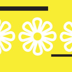 Yellow Co.: